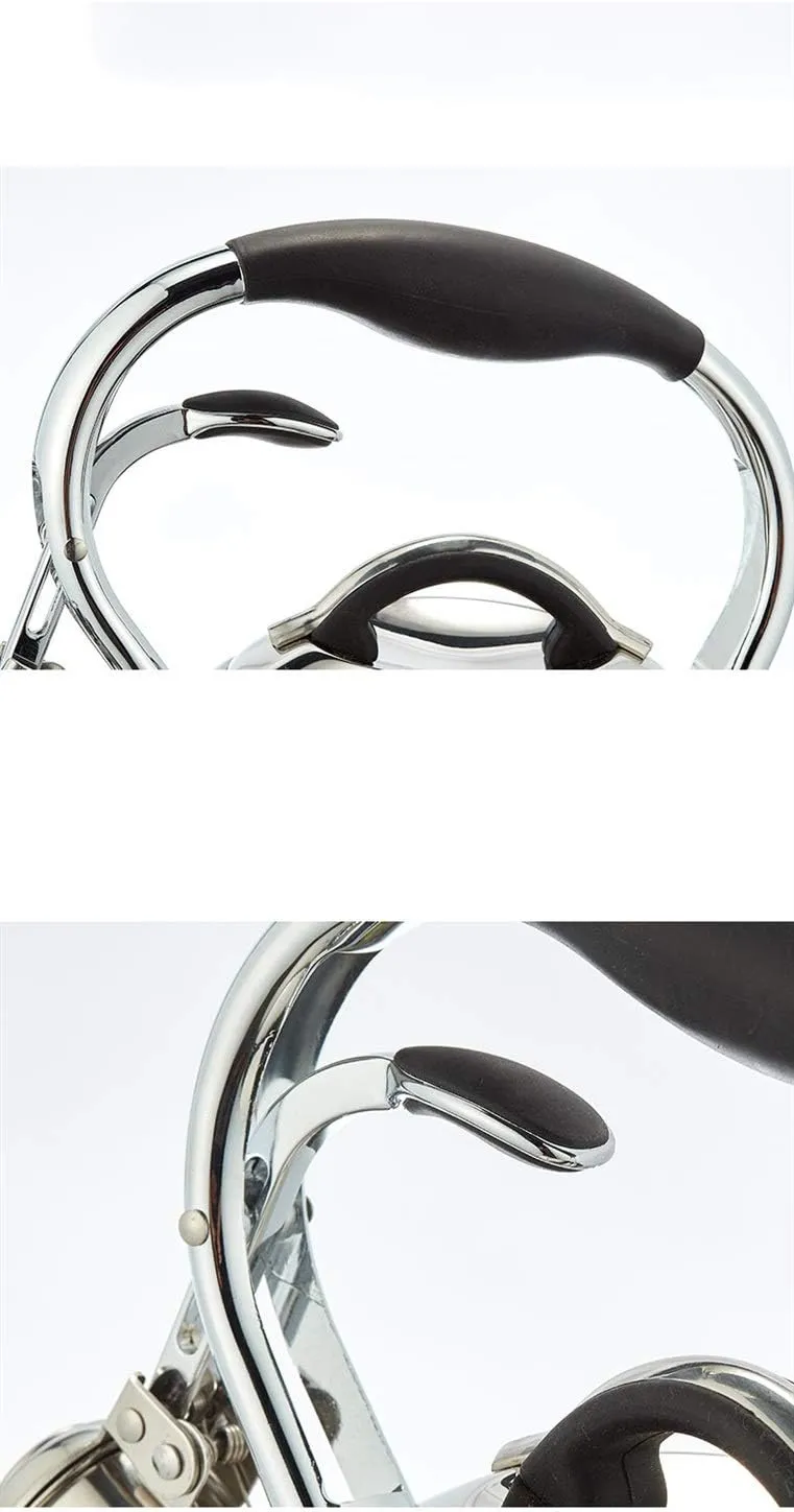 3L Whistle Teapot Rust Stainless Steel Gas Electric Stove Kettle Water Teapot Camping Portable Heating Teapot