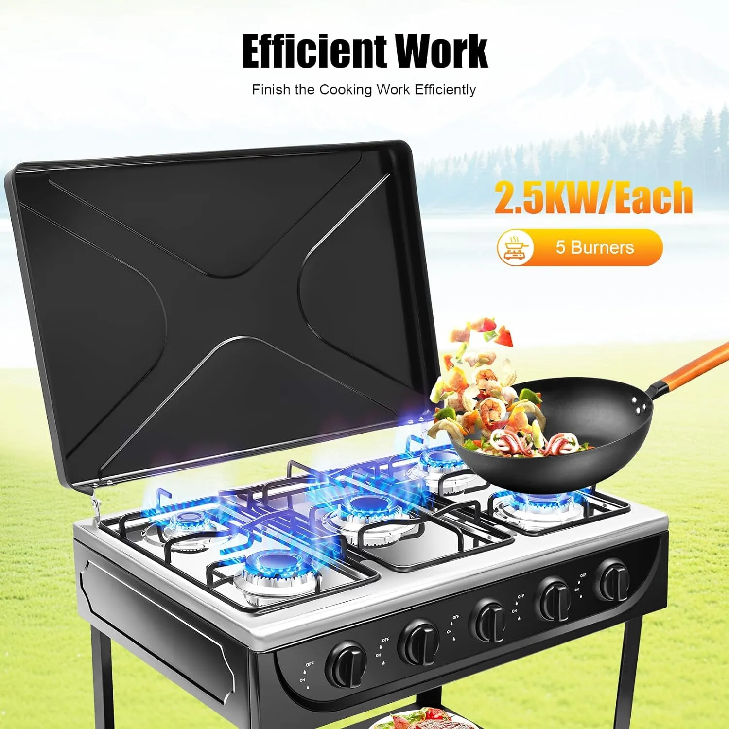 5 Burner Portable Outdoor Gas Stove, Natural Gas Camping Grill Stove with Wind Blocking Cover and Storage Stand, Free Standing Manual Ignition Camping Stove for Home Apartment RV NO Hose (Black)