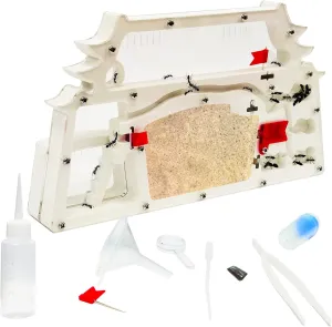 Ant Farm Castle,Ant Colony Habitat Observation Tool Kits,Bug Terrarium House,Nature Learning Toys, Education Science Kit