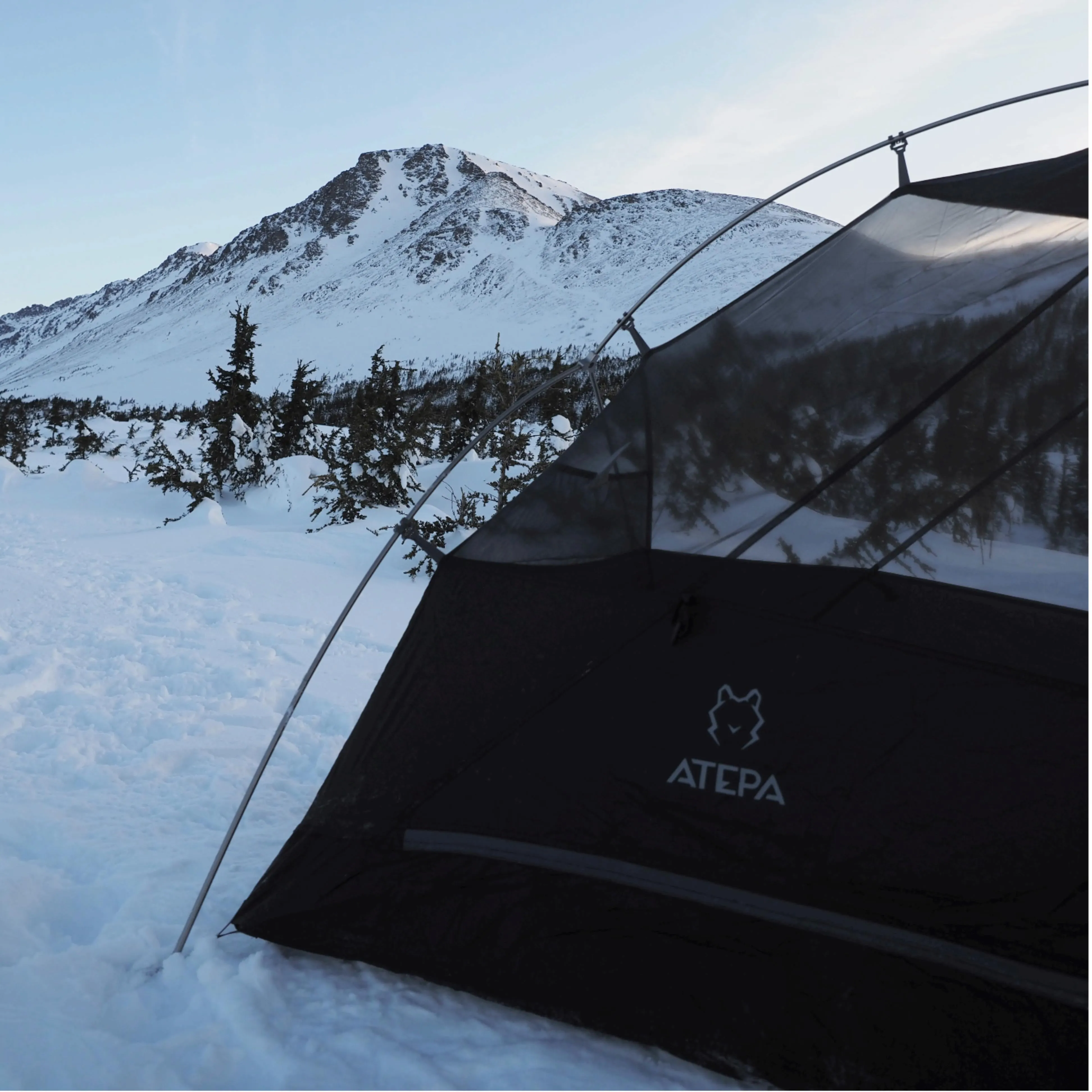 ATEPA 1-Person Ultralight Backpacking Tent