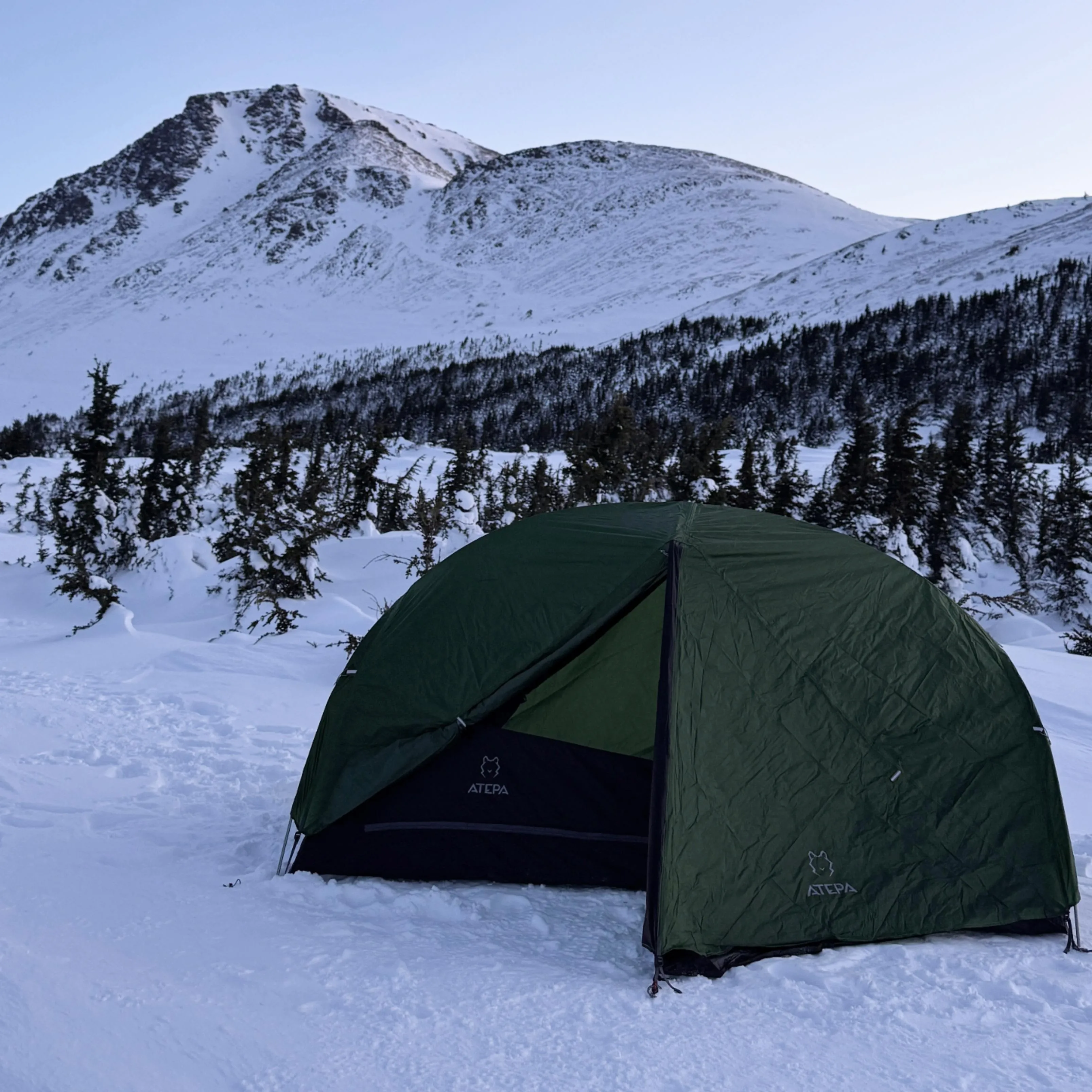 ATEPA 1-Person Ultralight Backpacking Tent