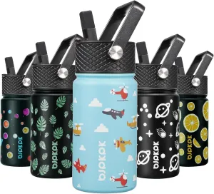 BJPKPK Water Bottle with Straw Lid, 15 oz Insulated Water Bottle, Stainless Steel Metal Water Bottles, Reusable Leak Proof BPA Free Thermos, Flask, Cups, Aircraft