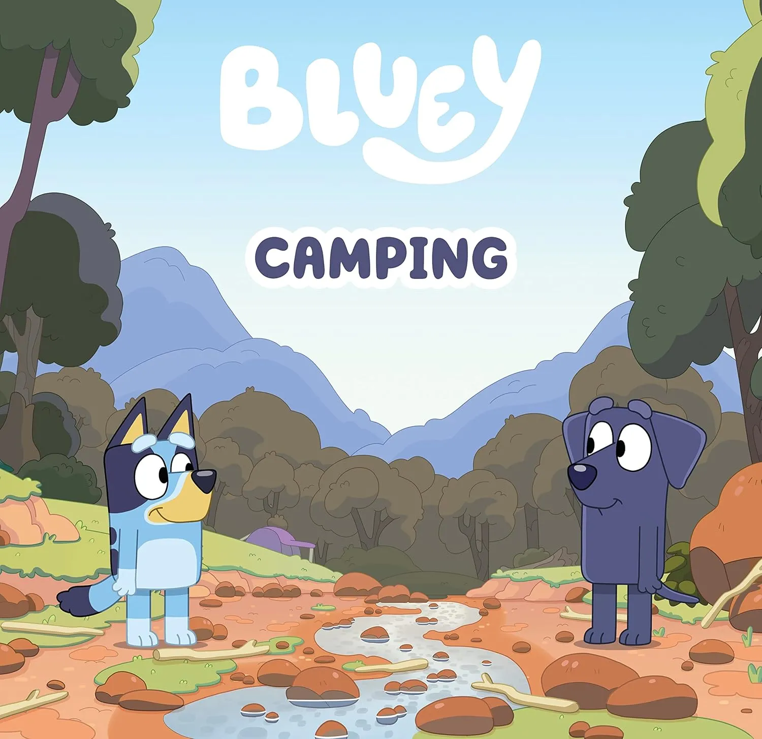 Bluey: Camping Hardcover