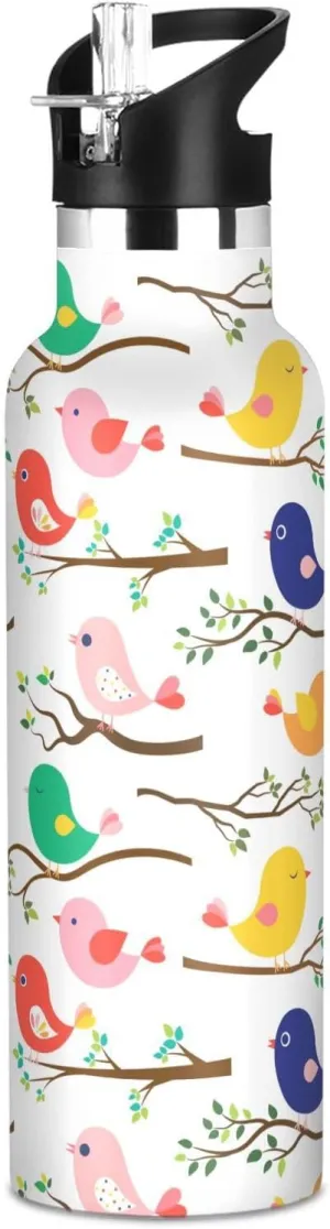 Boys Water Bottle with Straw Reusable Tumbler for Toddlers 20oz Kids Insulated Cups Leak Proof Double Wall 304 Stainless Steel Water Flask School Bottle,Little Bird Colorful