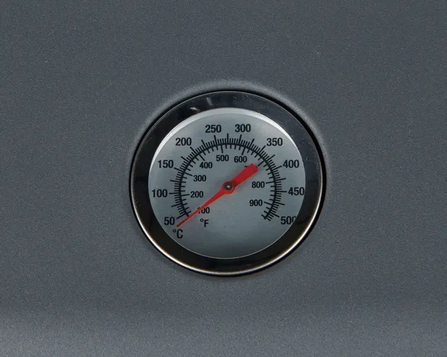 Companion Proheat BBQ FSD
