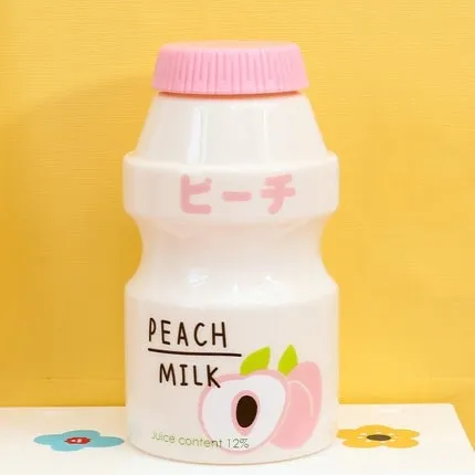 Cute Ins Fruit Water Bottle 480ml