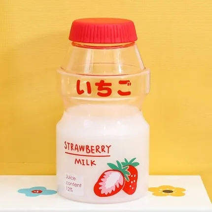 Cute Ins Fruit Water Bottle 480ml