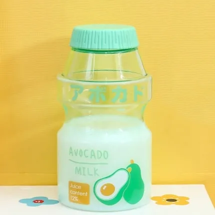 Cute Ins Fruit Water Bottle 480ml
