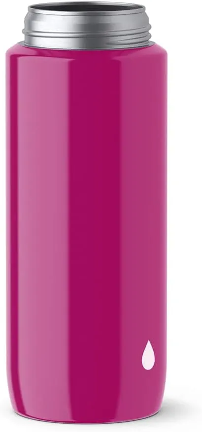 Emsa Drink2Go Lightsteel Drinking Bottle Stainless Steel