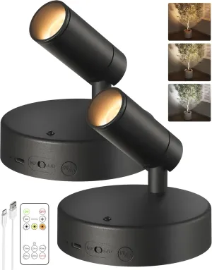 EZVALO Spotlights Indoor with Remote,5500mAh Rechargeable Plant Spotlight Indoor, Wireless LED Uplighting with Timer＆Dimmable, 3CCT,Mini Spot Lights for Painting,Artwork,Accent Lighting(2Pack-Black)