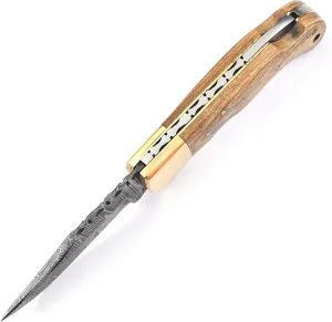HA Handmade Damascus Pocket Knife for Men - 6.5 Inches Damascus Folding Knife with Sheath - Pocket Knives and Folding Knives with Back Lock - Best for EDC, Camping, Fishing and Hiking (Golden)