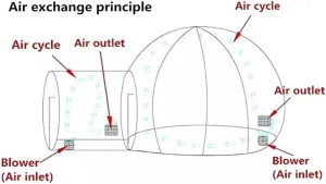 Inflatable Bubble Tent Transparent D-Ring Single Tunnel Bubble House Dome Greenhouse 2-3 People Tent for Camping w/Blower for Indoor/Outdoor Family Backyard Camping Festivals Stargazing