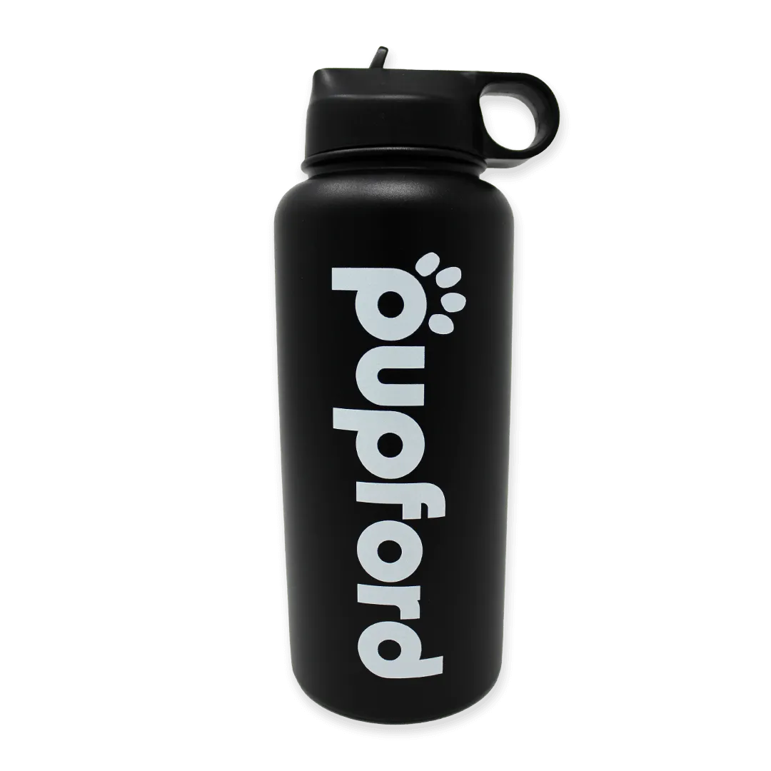 Insulated Water Bottle