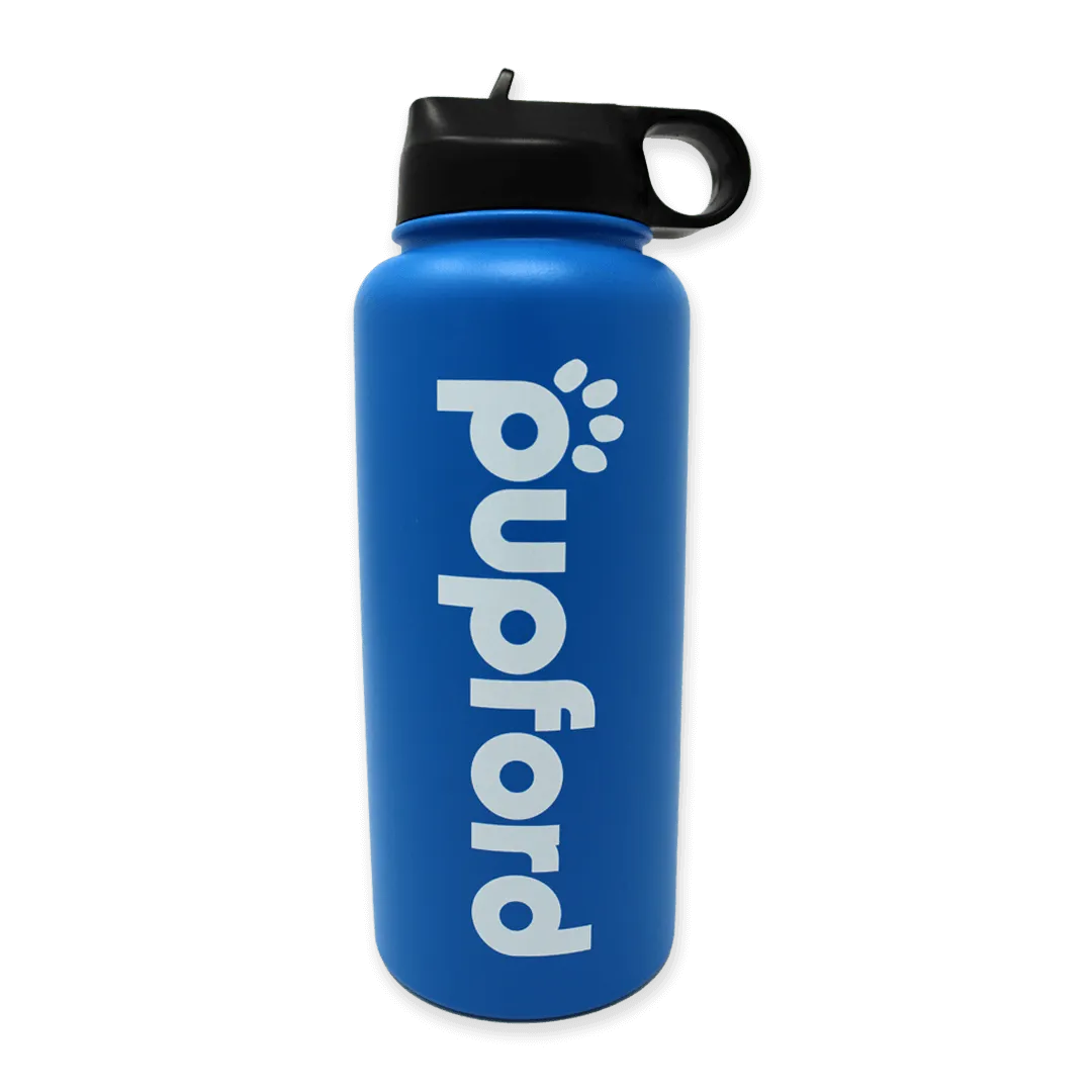 Insulated Water Bottle