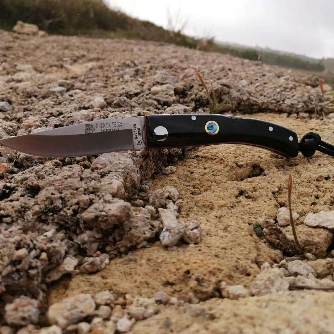 Joker "Ibérica NO138 Sports Folding Knife, 2.95-inch MOVA Blade with Serrated Spine, Fishing, Hunting, Camping, and Hiking Tool. (BUFFALO HORN)