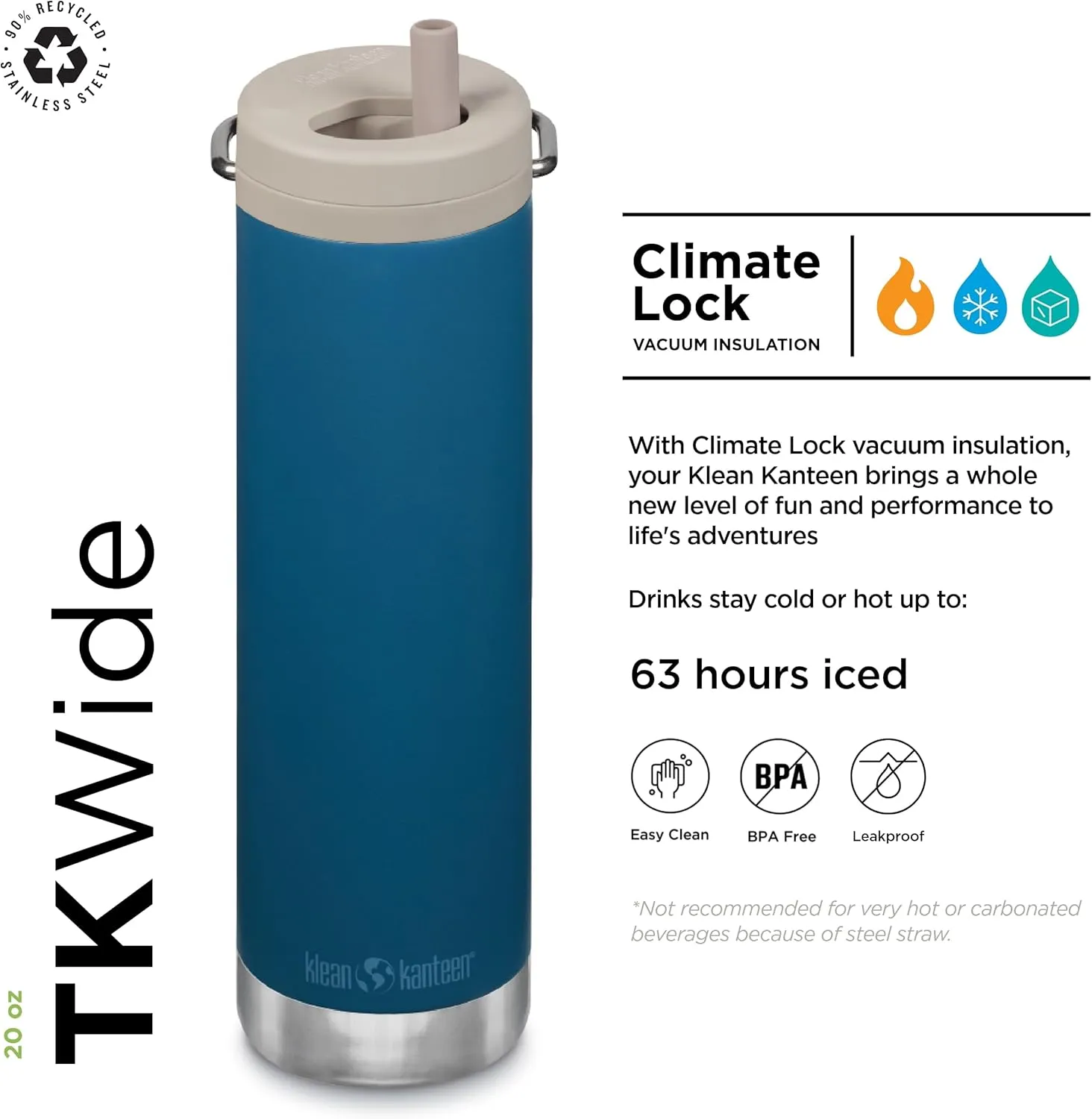 Klean Kanteen 20oz TKWide Insulated Water Bottle with Twist Cap - Corsair
