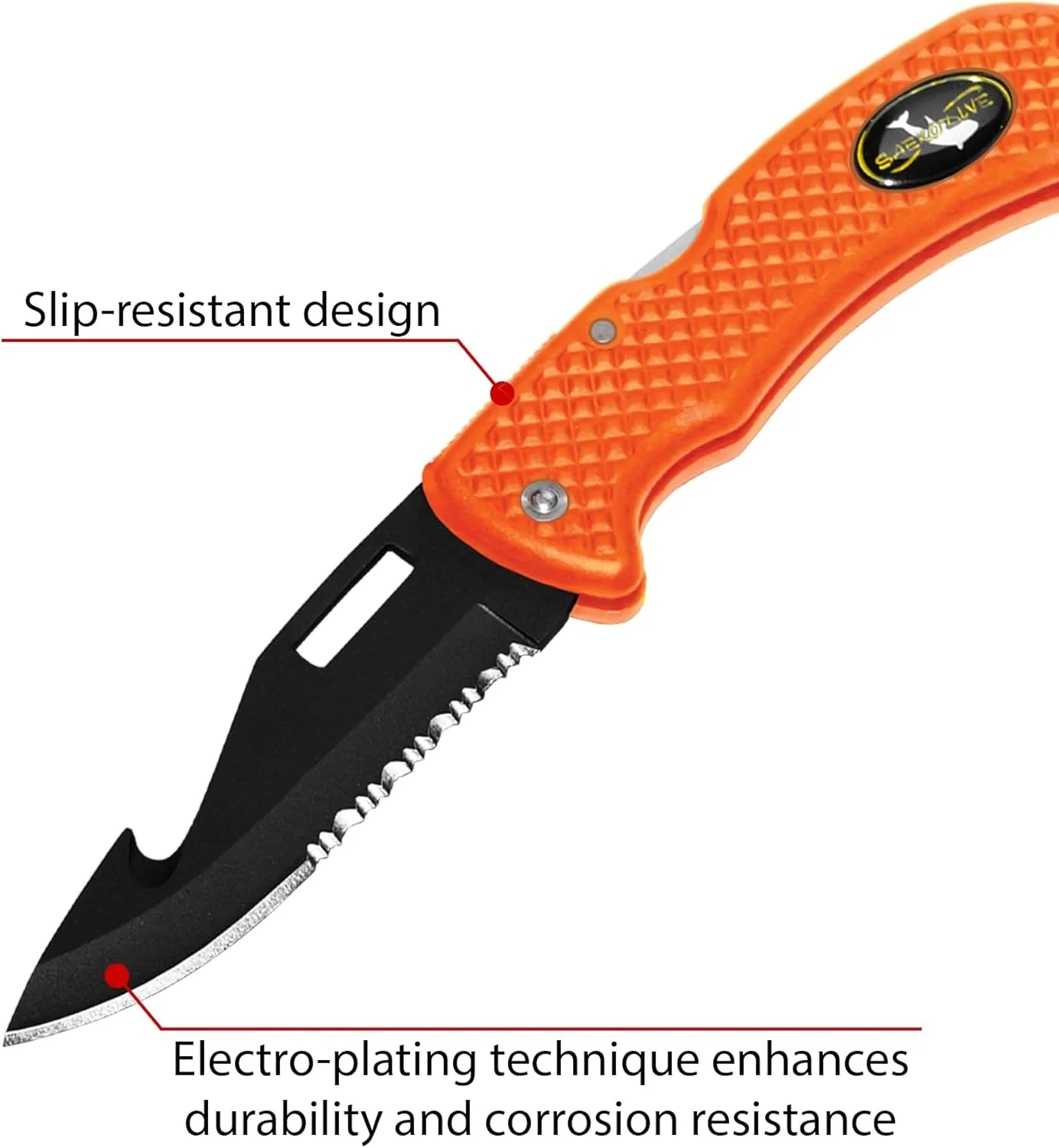 Nami Folding Knife - Wrist Lanyard, Saltwater Resistant - Scuba Diving, Spearfishing, Fishing, Hunting, Camping Gear (Green/S.S.)