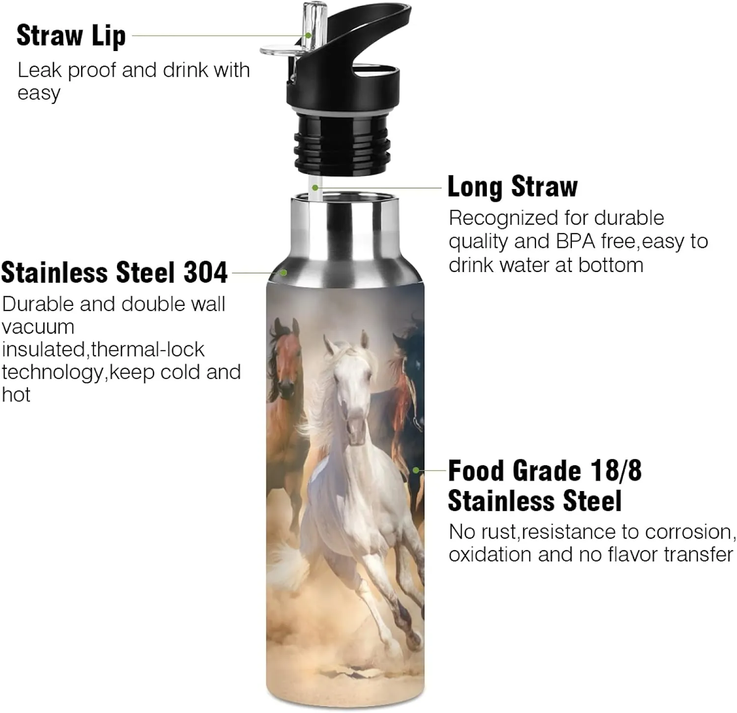 Qilmy Horse Sport Water Bottle with Straw Lid Double Wall Vacuum Insulated Flask Stainless Steel Water Bottle 20 oz