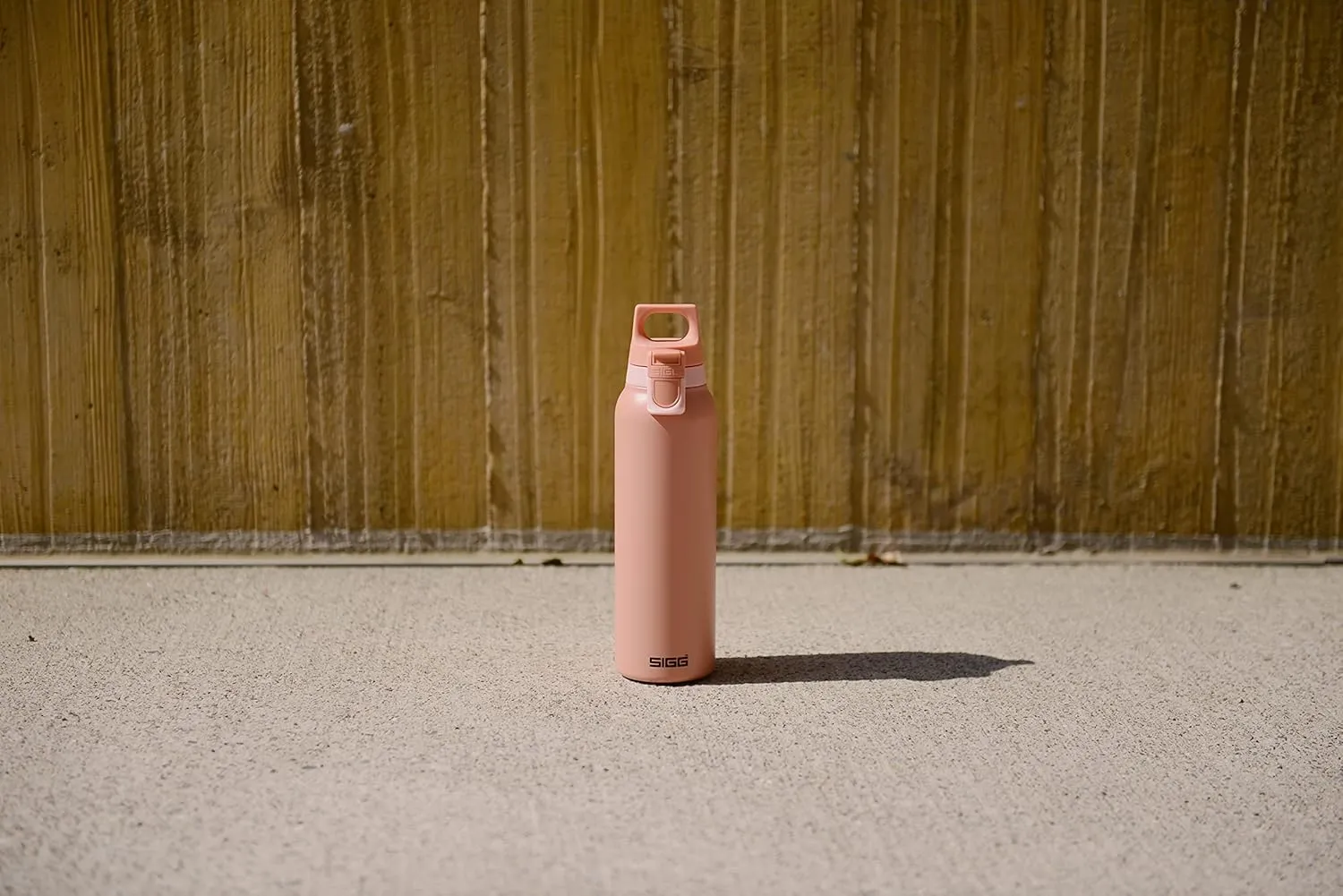 SIGG - Insulated Flask - Thermo Hot & Cold ONE Light - Fruit Filter- BPA-Free - Stainless Steel - 19 Oz