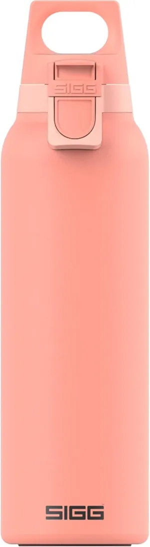 SIGG - Insulated Flask - Thermo Hot & Cold ONE Light - Fruit Filter- BPA-Free - Stainless Steel - 19 Oz