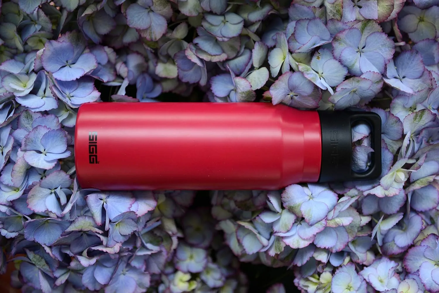 SIGG - Reusable Water Bottle - Explorer Magenta - Leakproof, BPA Free - 18/8 Stainless Steel - 34 Oz