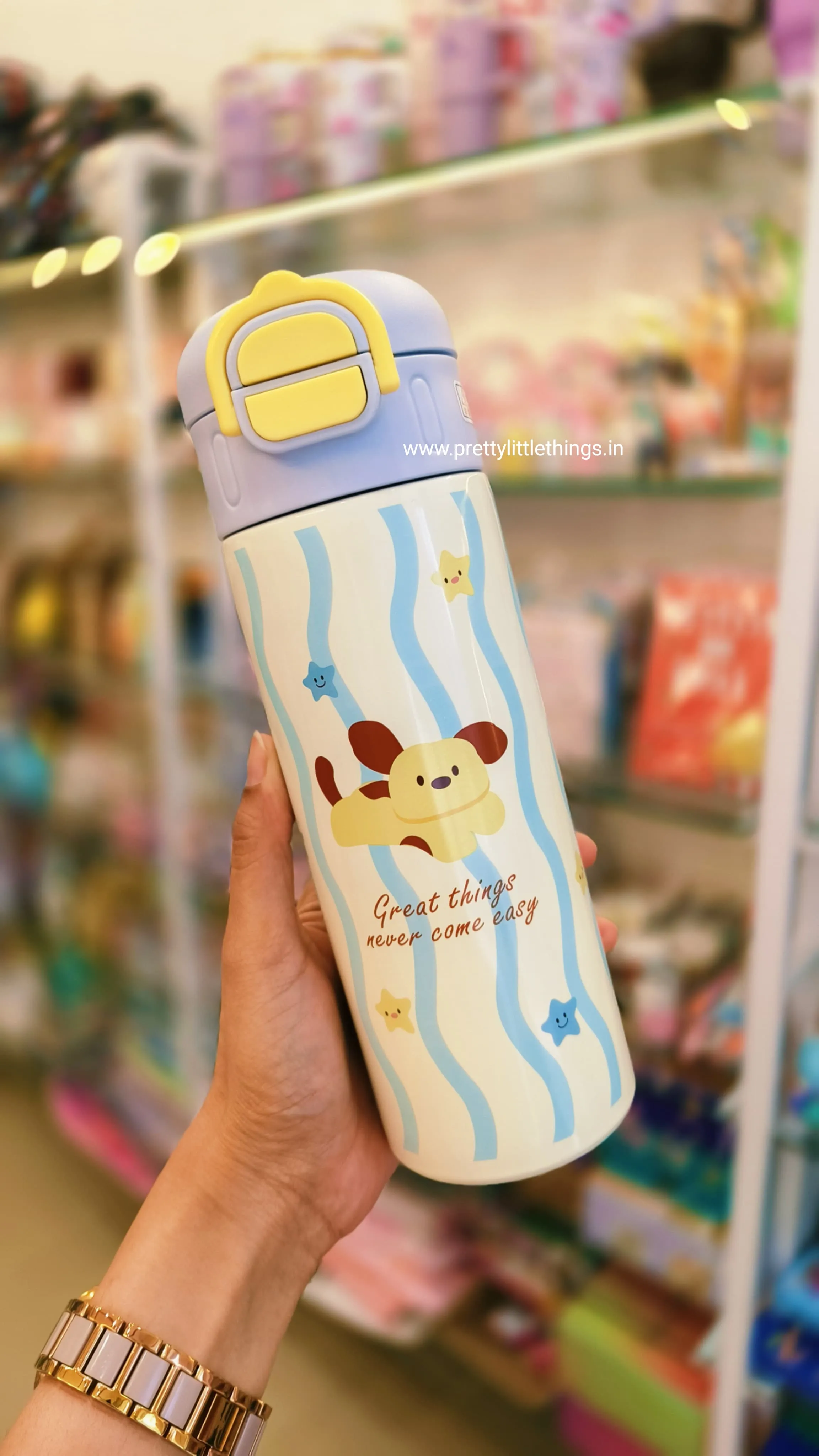 Sleek Insulated Water Bottles Donut / Kitty Dual Sipper [520 ml]