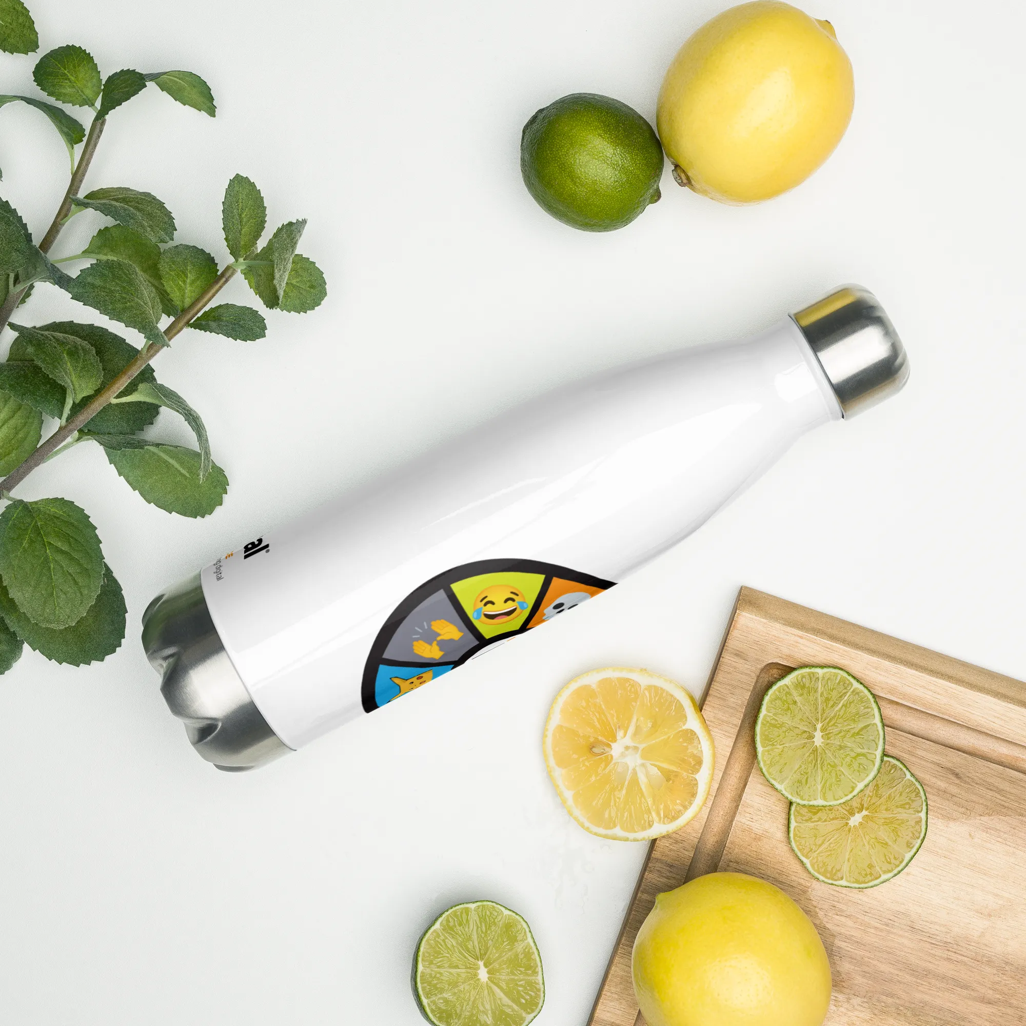 Spinwheel Stainless Steel Water Bottle