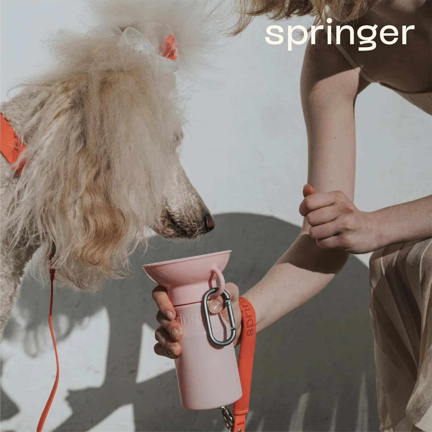 Springer Dog Water Bottle | Portable Travel Water Bottle Dispenser for Dogs | Dog Gift Seen on Oprah's Favorite Things, Shark Tank | Leak-Proof Bottles Fill Bowl with Water | 15oz Cotton Candy