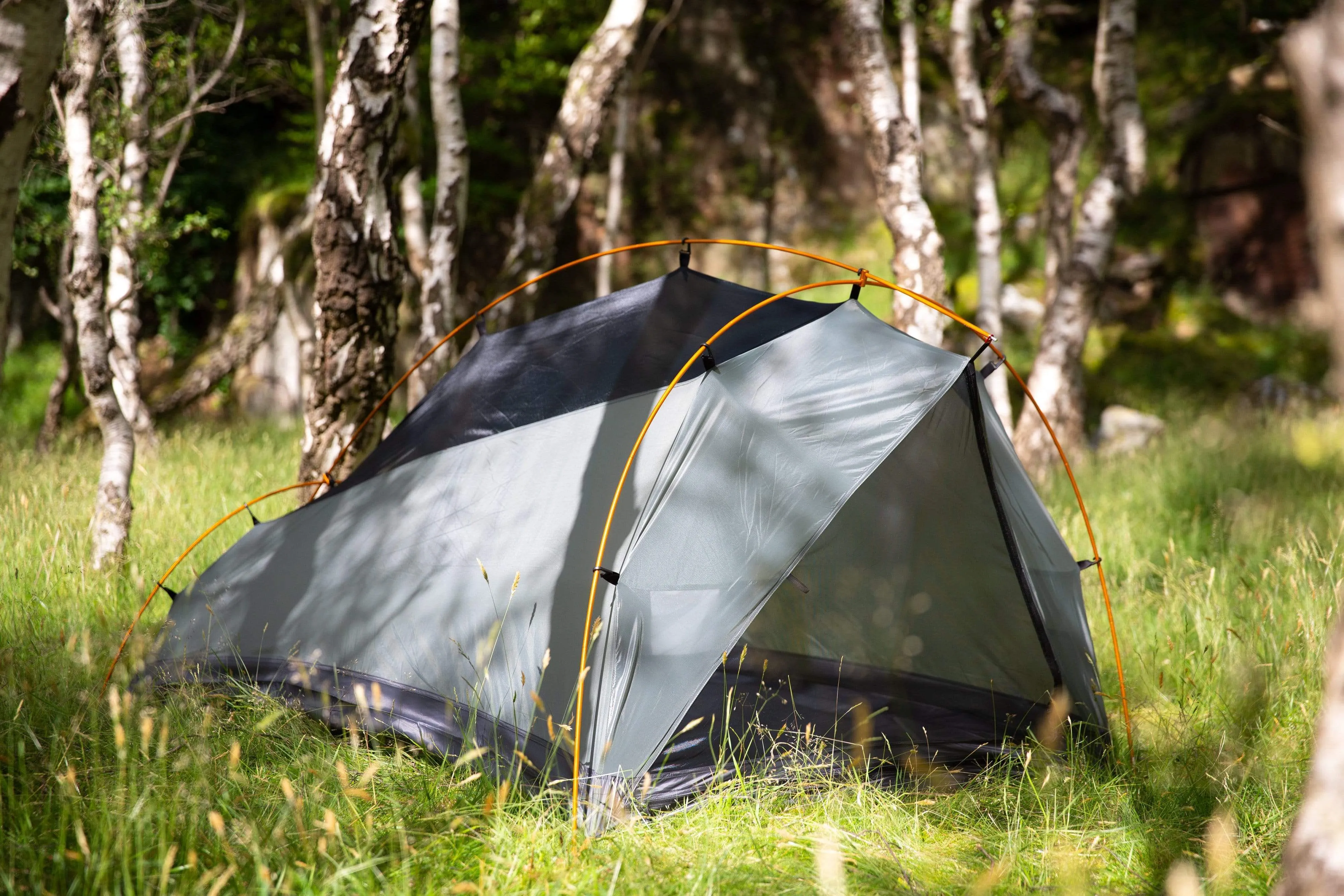 Super special Low-priced 2 Ordos
