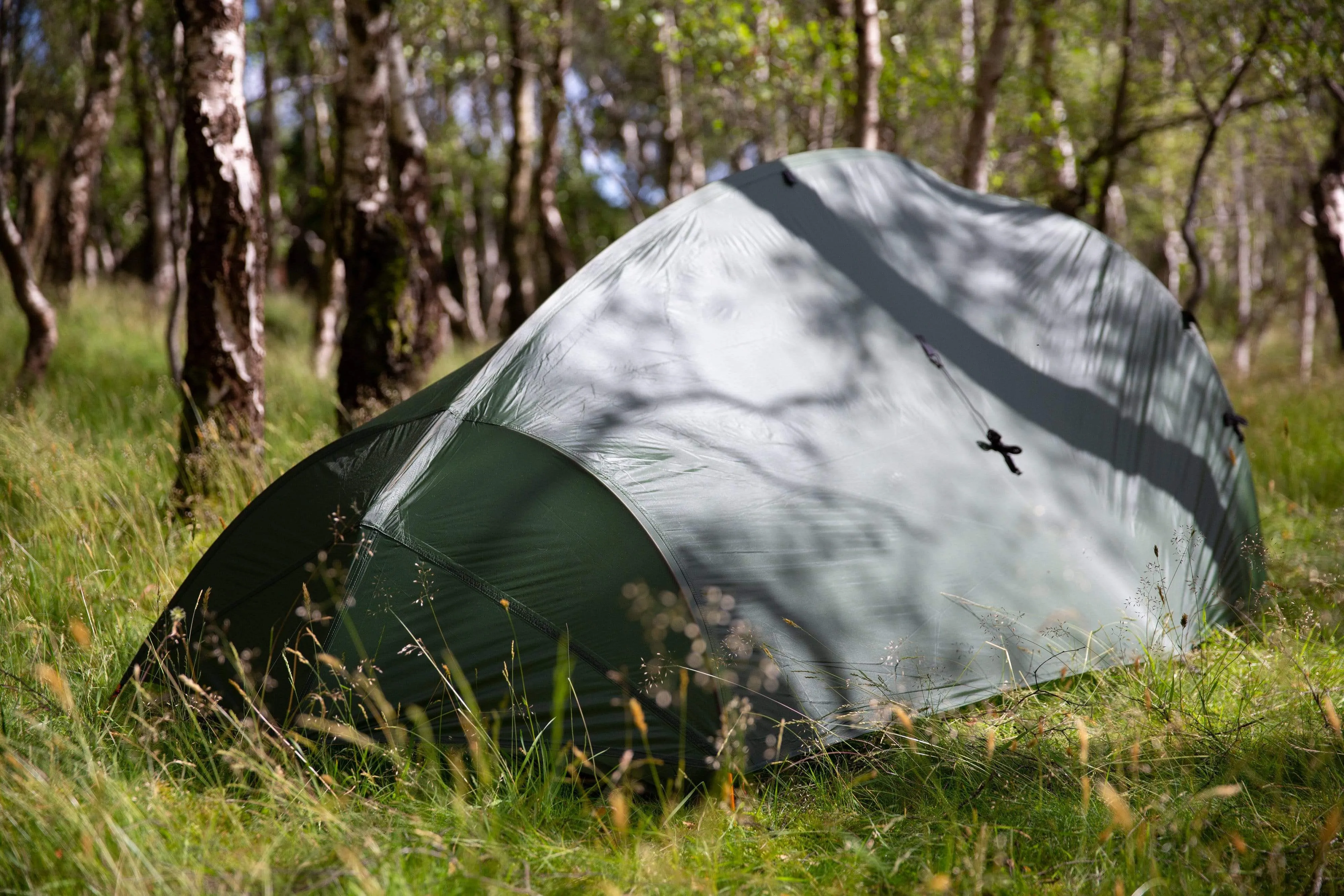 Super special Low-priced 2 Ordos