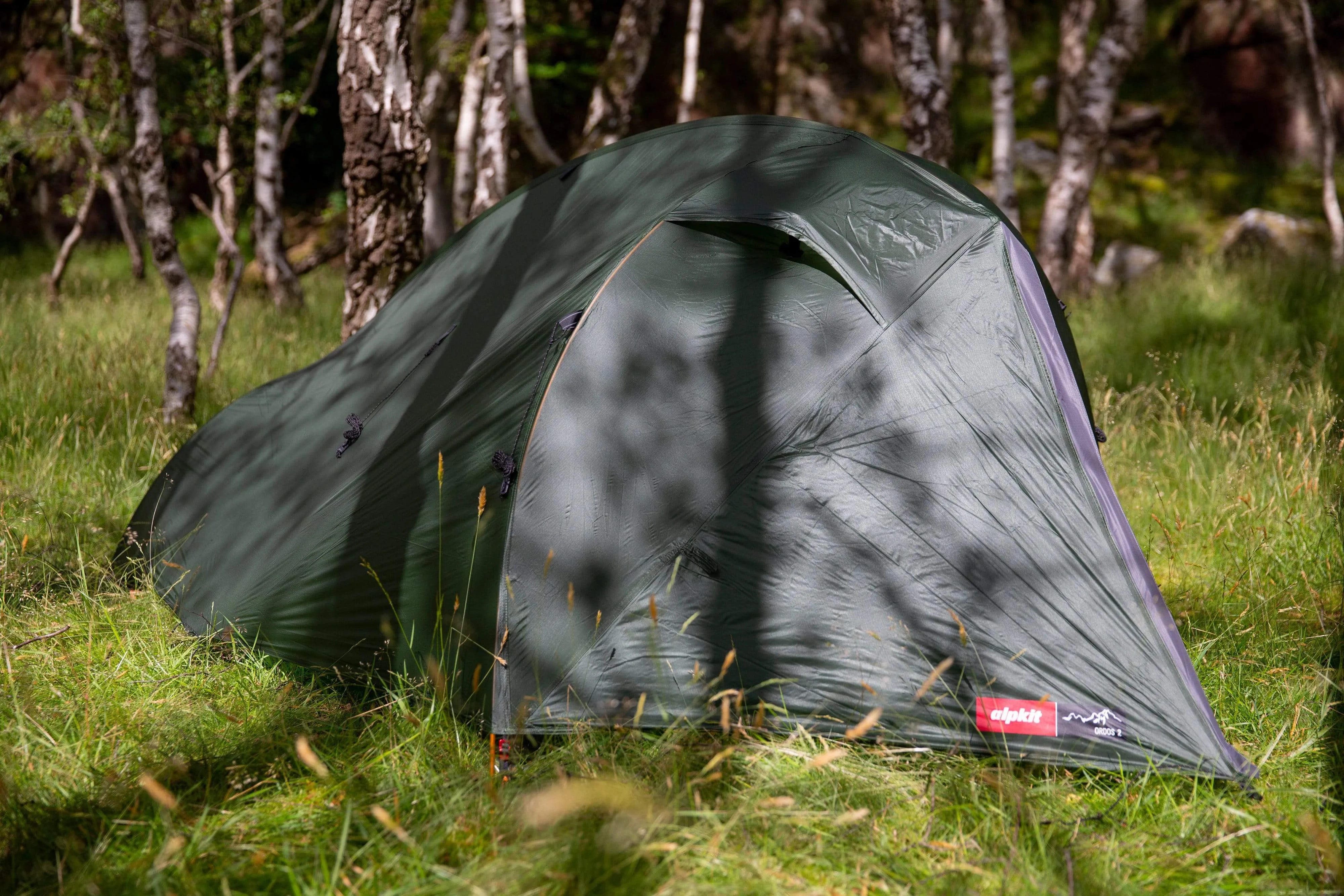 Super special Low-priced 2 Ordos