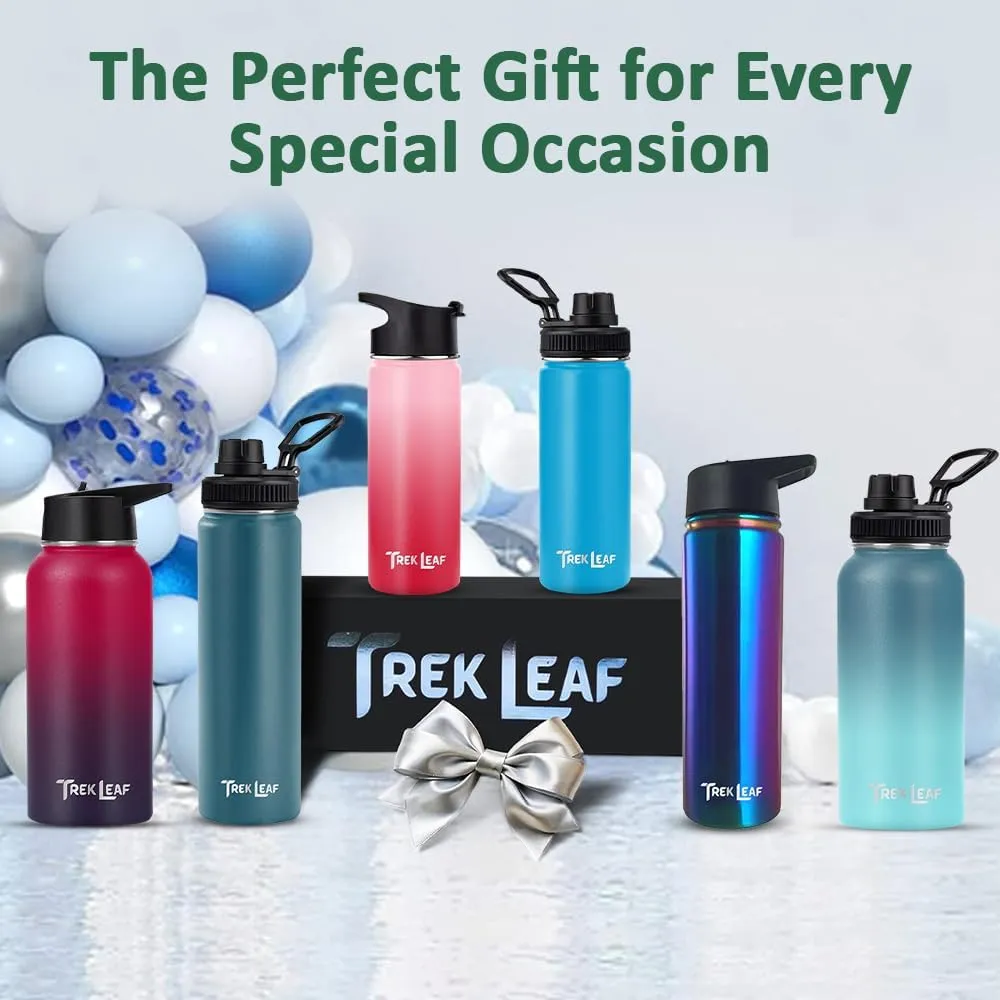 Travel Water Bottle with 3 Lids (Spout, Straw, Flip) Leak Proof, Quality, Vacuum Insulated, Stainless Steel (Cascade Shadow, 18 oz)