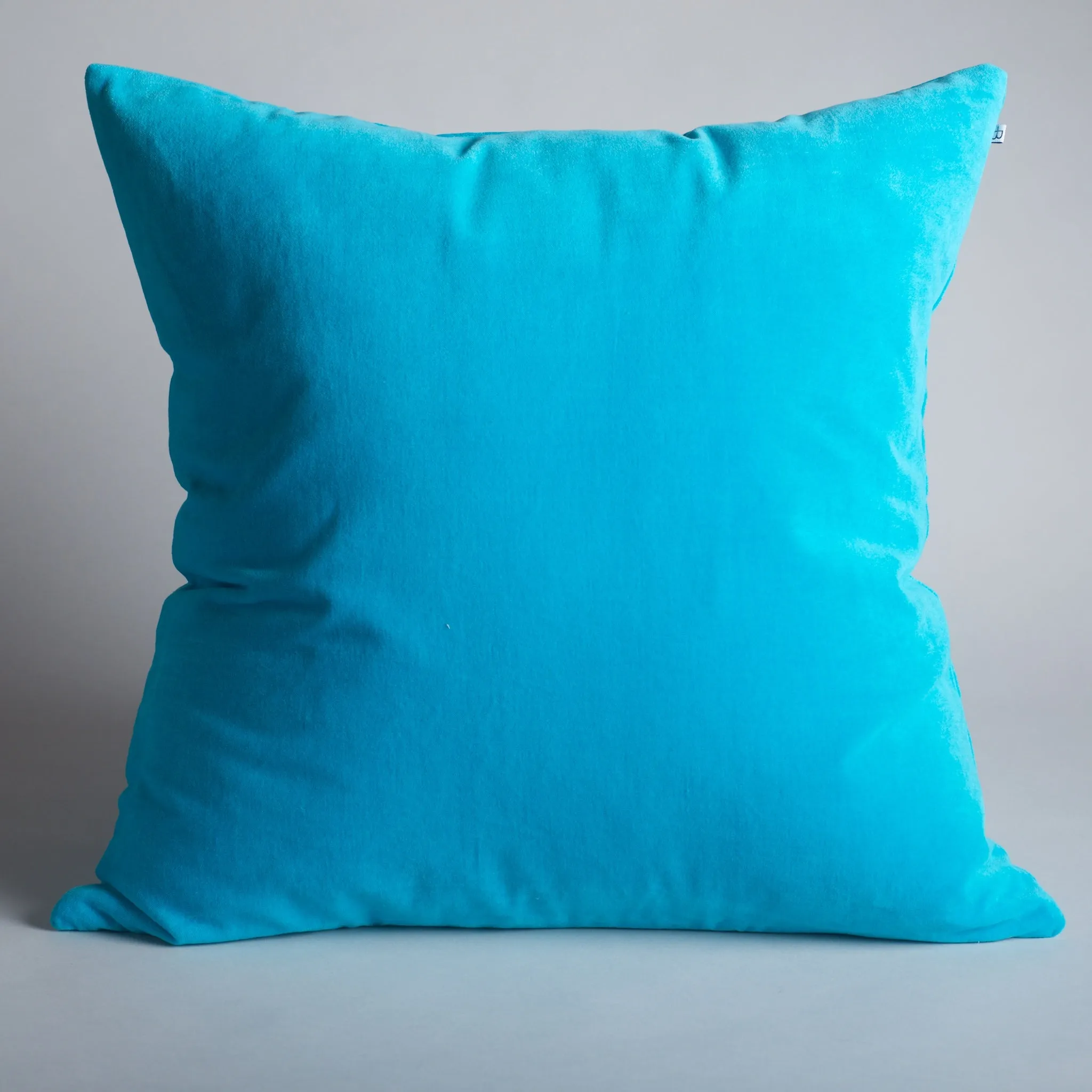 VELVETONE Pillow - Neptune