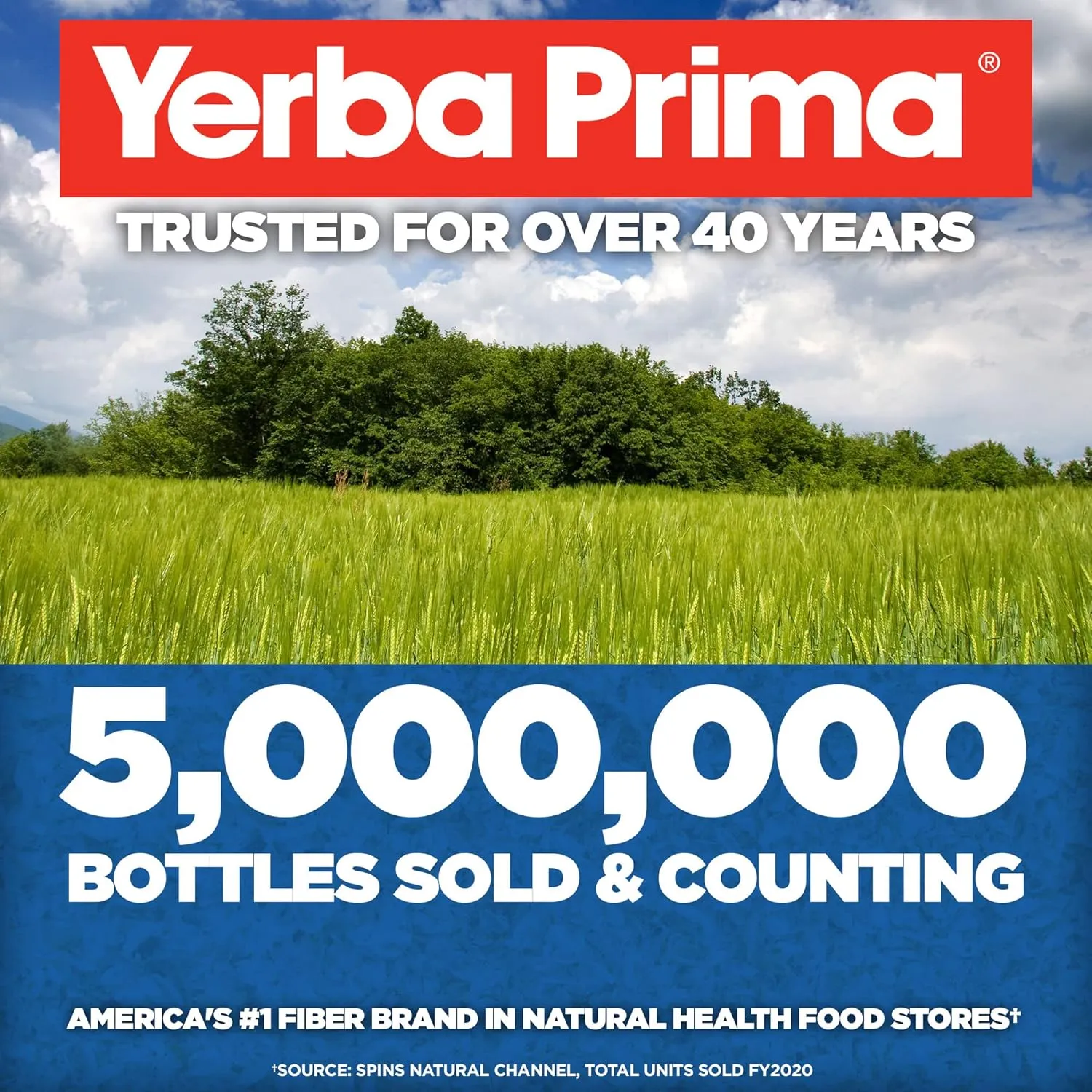 Yerba Prima Psyllium Husk, 12 Ounce (Pack of 3) - Whole Husk Fiber Supplement for Regularity, Colon Cleansing, Natural Support for Gut Health, Non GMO, Gluten Free, Vegan, No Sweeteners